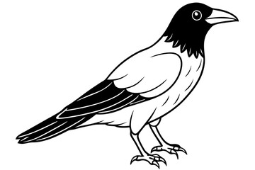crow line art silhouette vector illustration