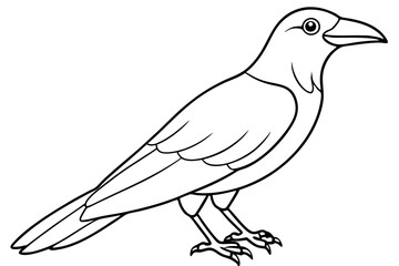 crow line art silhouette vector illustration
