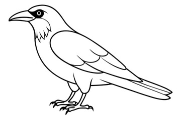 crow line art silhouette vector illustration