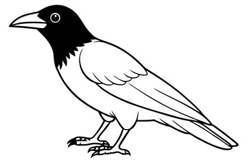 crow line art silhouette vector illustration