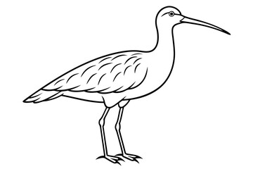 curlew line art silhouette vector illustration