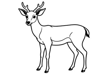 deer line art silhouette vector illustration