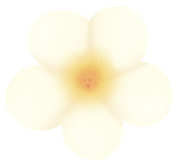 Plumeria flower painting for Songkran Festival, Thailand