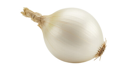 Isolated White Onion