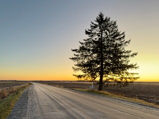 Fototapeta premium Tree in a Finnish rural landscape southern ostrobothnia