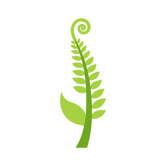 Cute Fiddle Head Fern Vector Illustration