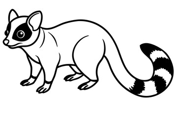 Fototapeta premium Sleek Ringtail Art