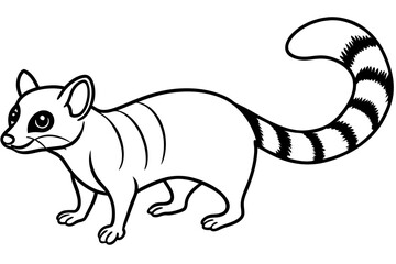 Sleek Ringtail Art