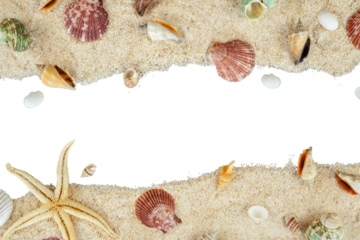 summer beach copy space with shell decoration