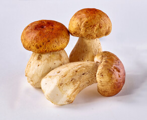 Steinpilze, Pilze, isoliert, Waldpilze, gesund, 