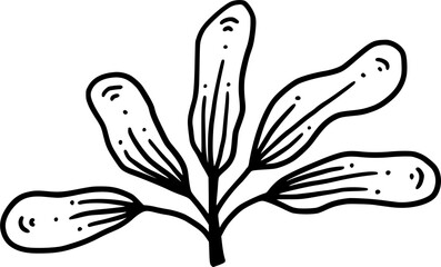 leaf outline doodle illustration