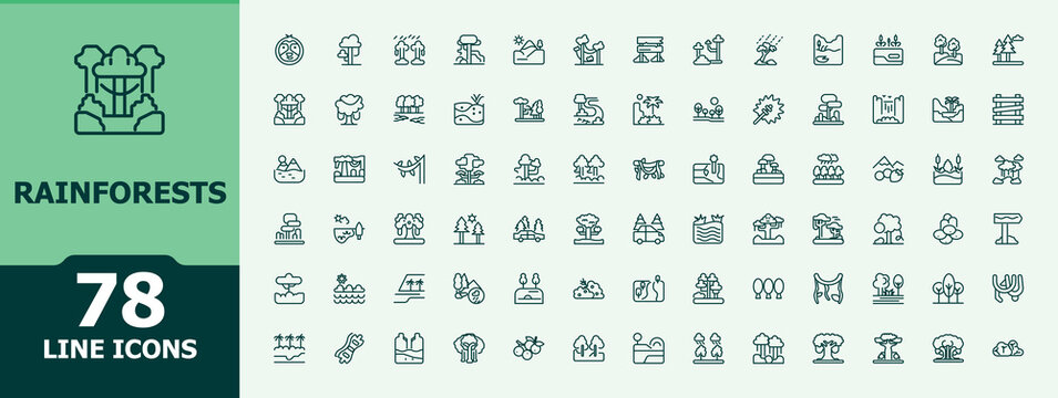 Rainforests modern icon. Includes symbols for forest, foliage, green, wildlife, nature and more. Minimalist editable vector stroke. Botanical icon set. Conceptual pictogram and infographic.