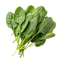 Bunch of spinach isolated on transparent background