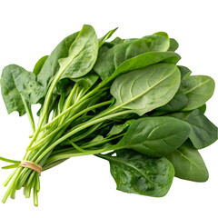 Bunch of spinach isolated on transparent background