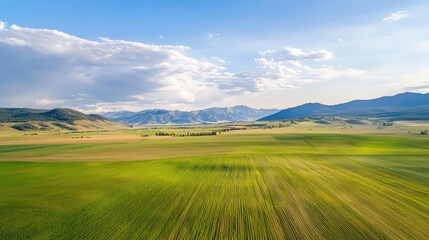 Obraz premium Serene Aerial View of Lush Green Fields Under Blue Sky