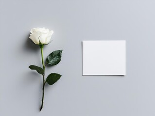 Elegant white rose laying next to a stack of blank cards, minimal and soft, creating a refined setting