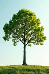 Fototapeta premium Tree in stark contrast against light colored background, branches, natural