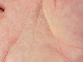 Fototapeta premium Fine lines and patterns on the palm create a unique pattern that emphasizes the beauty of human skin and individuality.