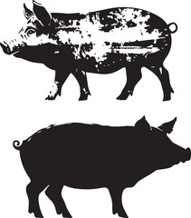 Black and white pig isolated on white background 