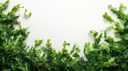 Naklejka premium Fresh seaweed close-up design seaweed white background