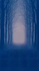 Naklejka premium Misty Path: A tranquil, atmospheric path leads into the distance, lined with bare trees enveloped in a soft, ethereal mist, creating a sense of mystery and serenity.