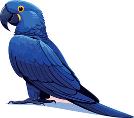 Obraz premium Hyacinth Macaw (Anodorhynchus hyacinthinus) – Blue parrot of the South American Tropical Biomes. Vector illustration on transparent background.