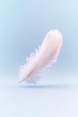 Obraz premium Delicate white feather floats on a soft blue background.
