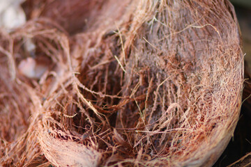 coconut fiber that has dried under the sun