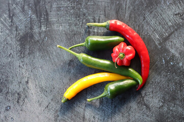 Hot chili peppers on a gray background. Spices for cooking.