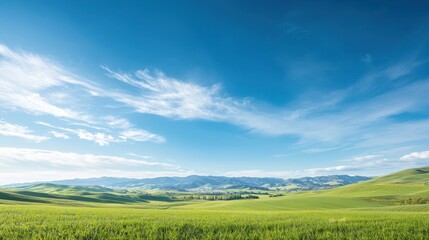 Obraz premium Lush Green Landscape Under Bright Blue Sky with Wispy Clouds