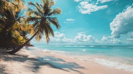 Fototapeta premium Vibrant summer travel background with tropical scenery, palm trees, and bright sunlight — perfect for vacation ads, adventure posters, and holiday design projects. 