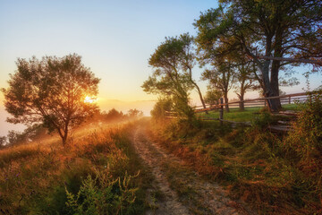 Fresh green scene of mountain farmland with old country road. Exciting summer view of Carpathian mountains, Ukraine, Europe.