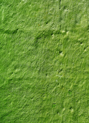 Artistic Green Rough Stone Wall for Backdrop or Banner