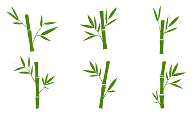 Naklejka premium Collection of bamboo silhouettes on white background. Bamboo trunk, branches and leaves. Vector illustration.