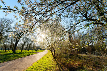 The vincennes wood in the 12th arrondissement of Paris city