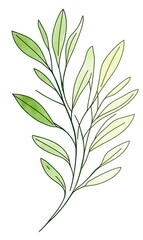 Obraz premium Minimalist green leaf branch with gradient coloring on white background, botanical line art illustration for nature-inspired designs and decorative projects.