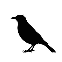 Bold black silhouette of a bird on a plain background, minimalist art