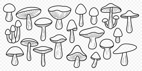 Wild Black and White Line Art Mushroom Vector Set. Flat Hand Drawn Forest Fungi Collection. Porcini, Bay Bolete, Birch Bolete, King Mushroom Icon Set. Cooking, Mycology, Botanical Illustration