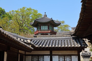 Fototapeta premium Seoul landmark - Changdeokgung Palace