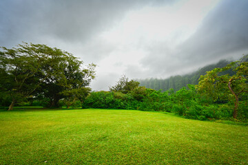 Oahu, Hawaii Spring 2025