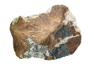 Astrophyllite is a very rare, brown to golden-yellow hydrous potassium iron titanium silicate mineral