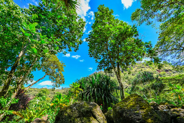 Oahu, Hawaii Spring 2025