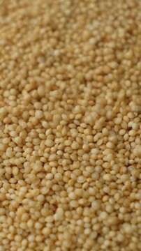 Uncooked Amaranth Seeds Pour Slow Motion Vertical.