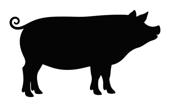 Black silhouette of pig, isolated. Simple elegant profile. Distinctive curly tail and characteristic shape. Clean design ideal for farm themes, food production, agricultural contexts.
