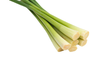 Fresh Lemongrass Stalks Bundle Close-up
