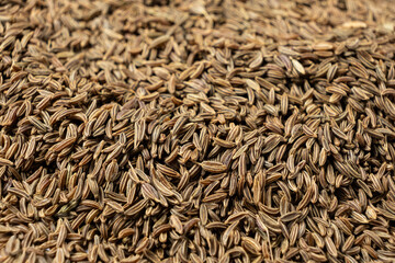 Dried Whole Cumin Traditional and Natural Spice
