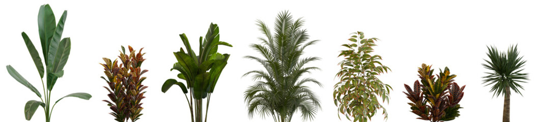 Indoor and outdoor plants for interior or yard decoration isolated png on a transparent background premium realistic cutout 