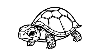 simple turtle vector illustration on white background