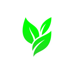 Obraz premium Green leaf icon
