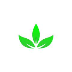 Green leaf icon